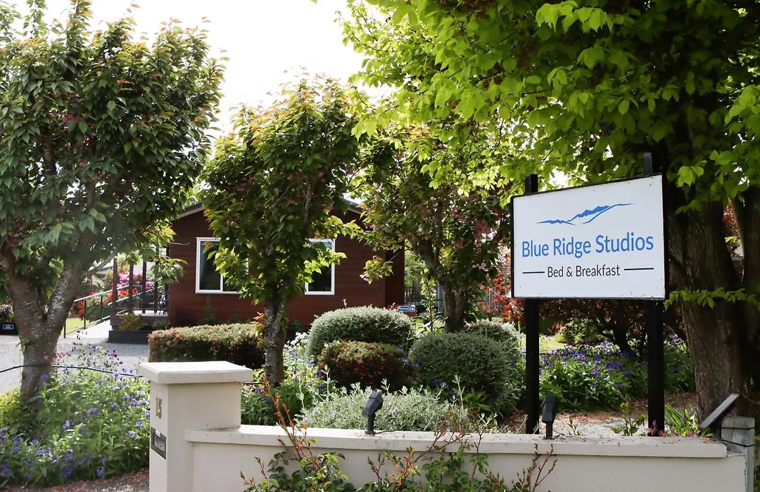 Blue Ridge Studios And Bed & Breakfast-1